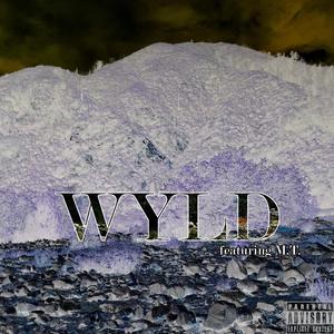 Wyld (feat. M.T.) (Explicit)