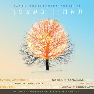 Hevai Hevai (feat. Yoeli Factor)