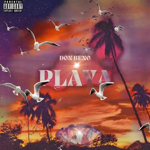 PLAYA (Explicit)