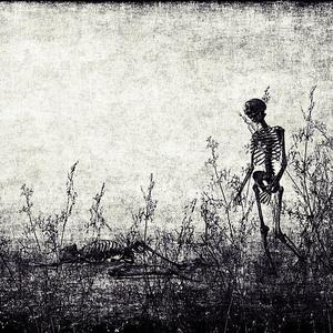 Skulls & Bones (Explicit)