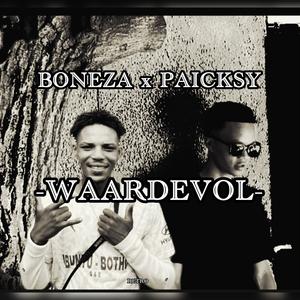 WAARDEVOL (feat. BONEZA)