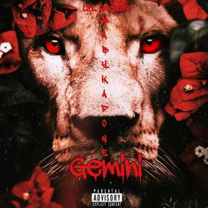 Gemini (Bi Polar) (Explicit)