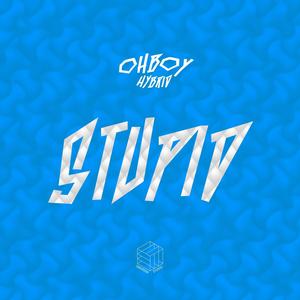 Stupid (feat. Stan C)