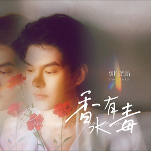 香水有毒 (DJ氛围版)