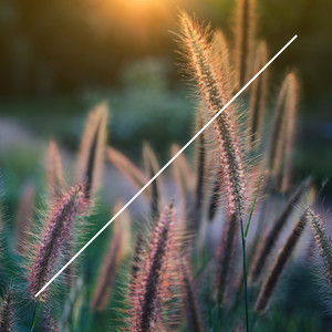 Eureka (Newman I Love Remix)