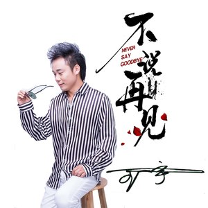 不说再见