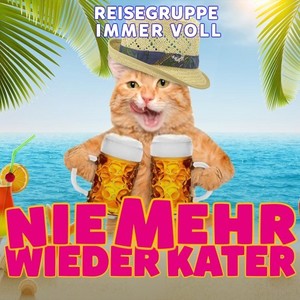 Nie mehr wieder Kater