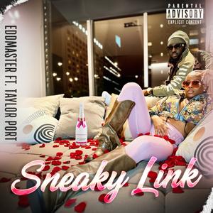 Sneaky Link (feat. Mx. Taylor Portt) (Explicit)