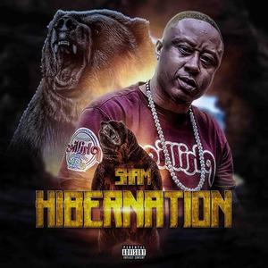 Hibernation (Explicit)