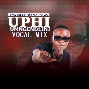 DJNATHI SA - Uphi Umngenedlini (Vocal Mix)