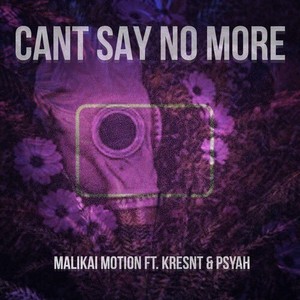 Can't Say No More (Explicit)