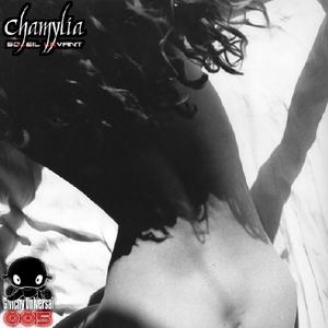 Literature Pandeiro (feat. Samforce)