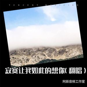 阿辰音频工作室 - 寂寞让我如此的想你 (Live)