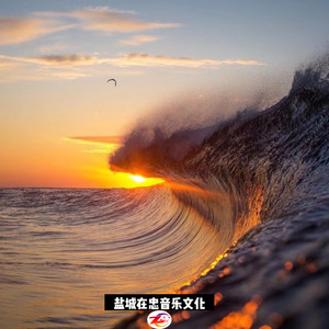 怎么说我不爱你 (Remix)