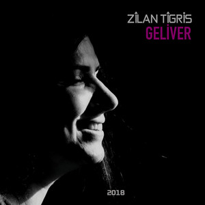 Karşıdan Görünen