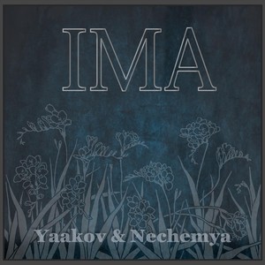 Ima