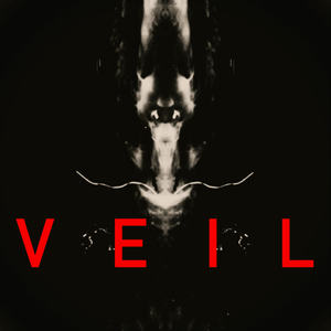 Veil