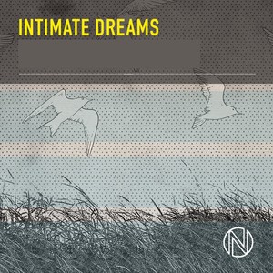 Intimate Dreams