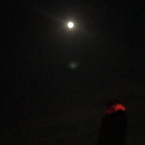 Insomniac (Explicit)