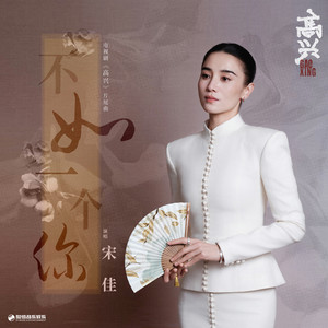 宋佳 - 不如一个你