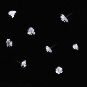 Interlude (Explicit)