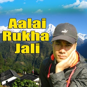 Aalai Rukha Jali