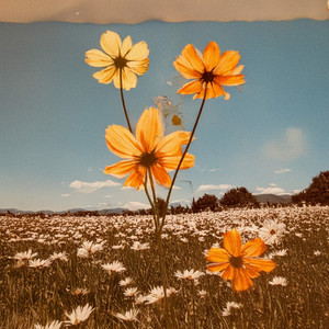 ¿Cuanto Te Costaba?