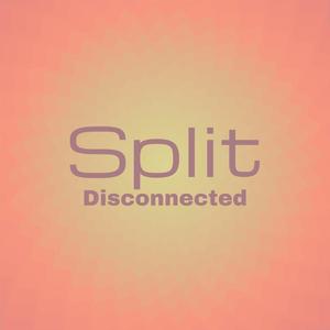 Split Disconnected