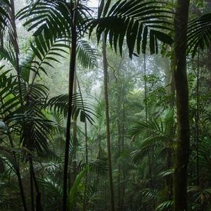 listen to what your chest is saying