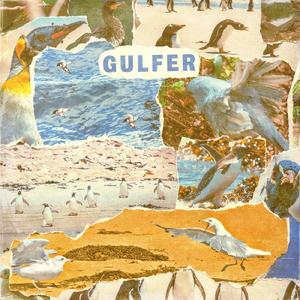 Gulfer