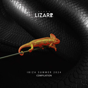 Ibiza Summer Compilation 2024 (Explicit)