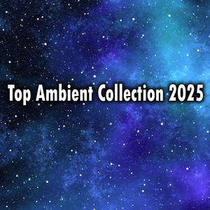 Top Ambient Collection 2025 (Explicit)