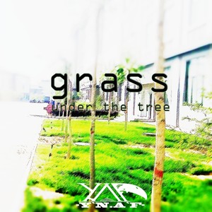Grass Under The Tree