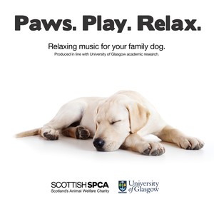 Paws. Play. Relax.