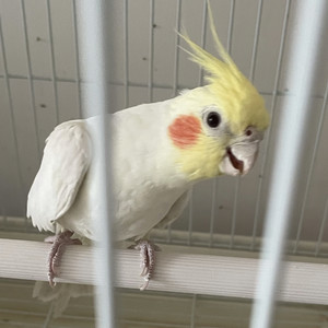 No.6 2022年度歌单分享-闫安