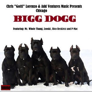 Bigg Dogg - Chicago (Clean)