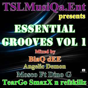 Essential Grooves, Vol. 1