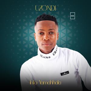 Amandl'endoda (feat. uMaGumede Wenu)