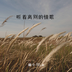 听着离别的情歌 (伴奏)
