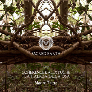 Madre Tierra (Extended Mix)