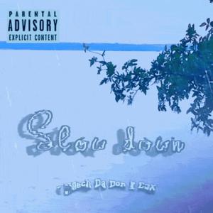 Slow Down(feat. E3X) (Explicit)