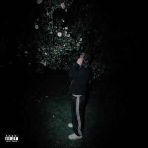 Primavera (Explicit)