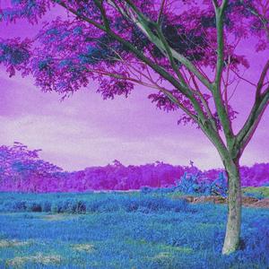 face (ultra mixx|Explicit)