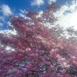 Nearer My God To Thee