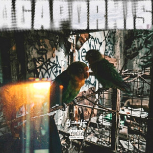 Agapornis