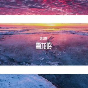 雪龙吟封面