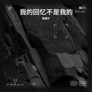 我的回忆不是我的（无分你的我的）