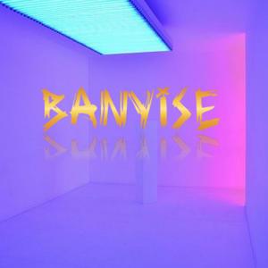 Banyise (feat. Vee & Joy) [Explicit]