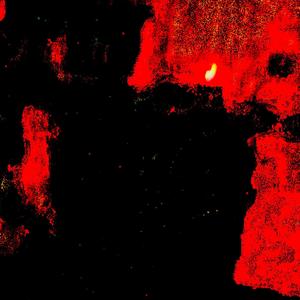 All The Greatest Women Come From LiveLeak Gore Videos