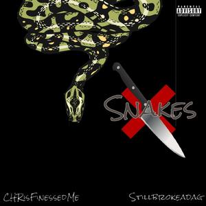 Snakes (feat. StillbrokeAdag) [Explicit]